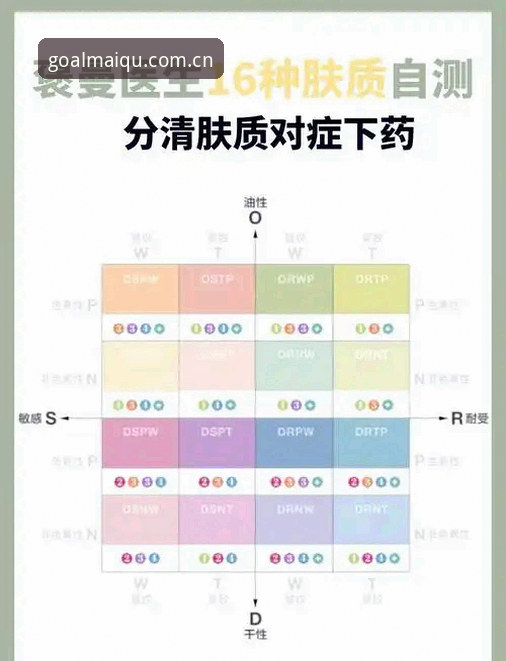 资深用户亲测：买球平台官网最新版的使用心得与下载指南